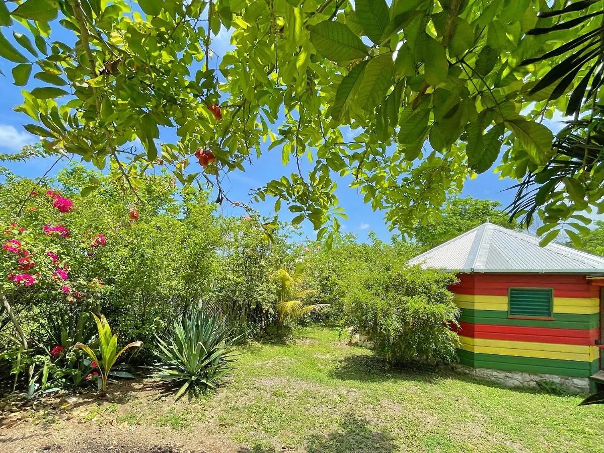 Judy House 2 - Lewis Backpacker Hostel Little Bay